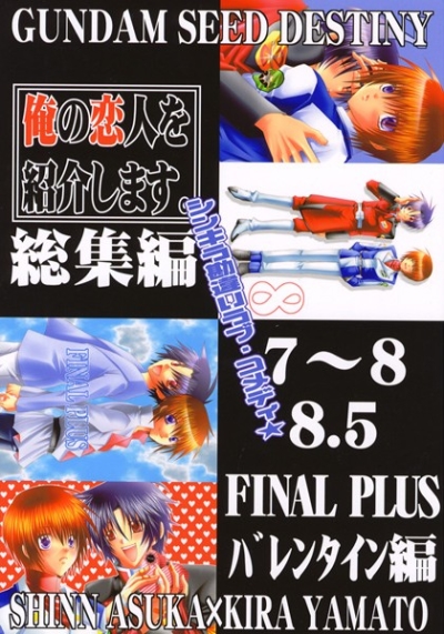 俺の恋人を紹介します。7～FINAL PLUS総集編