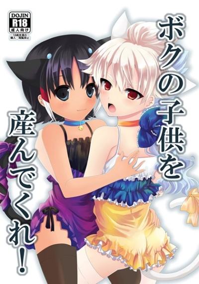 ボクの子供を産んでくれ!