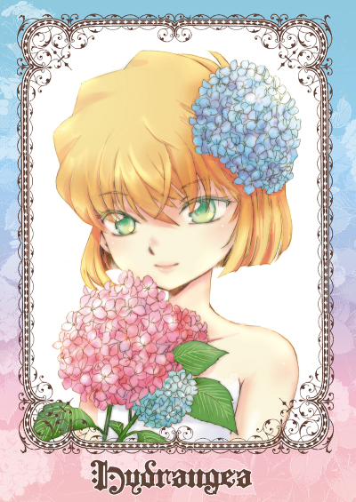 Hydrangea