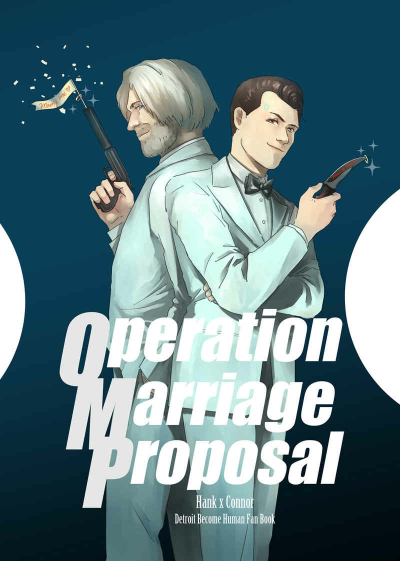 Operation Marriage Proposal