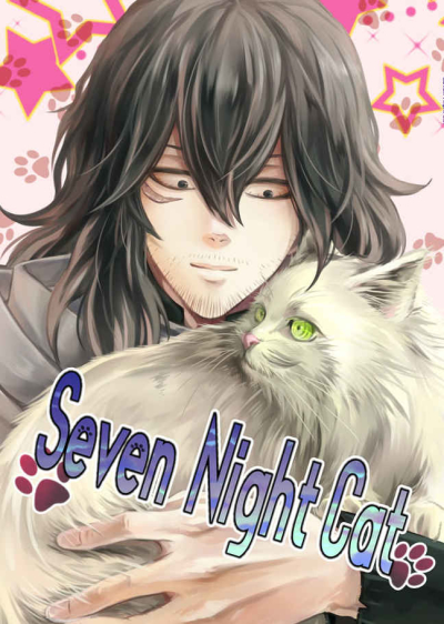 Seven Night Cat