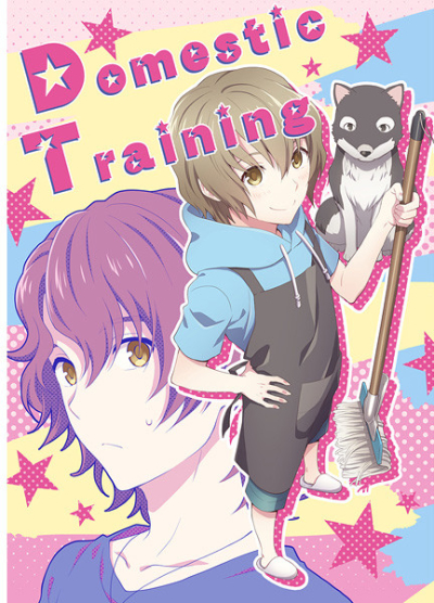 Domestic Training