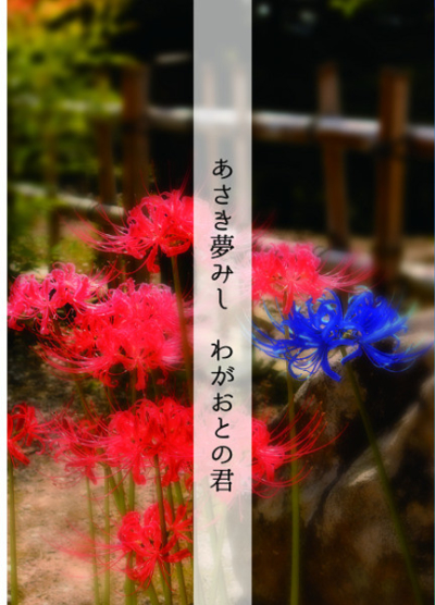 あさき夢みし わがおとの君