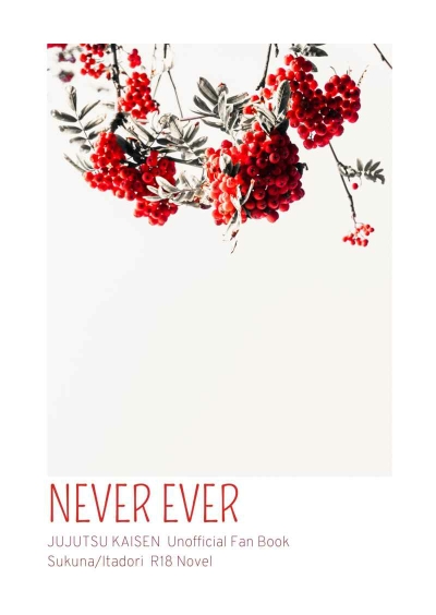 NEVER EVER