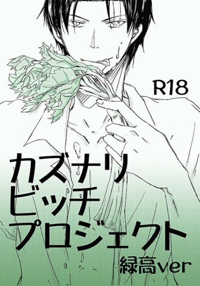 Kazunaribitchipurojiekuto Midori Taka Ver