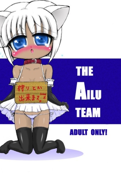 THE AILUTEAM