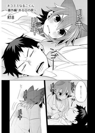 ネコミミなるこくん～番外編 ある日の夜～