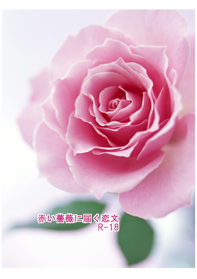 赤い薔薇に届く恋文