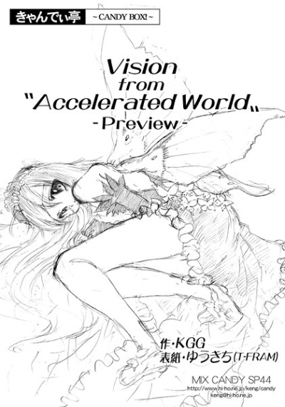Vision from Accelerated World -Preview-