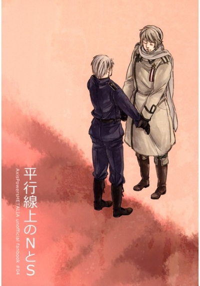 平行線上のNとS