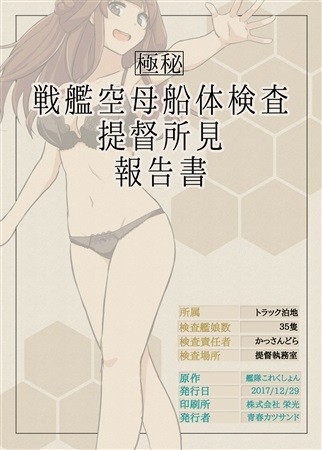 戦艦空母船体検査提督所見報告書