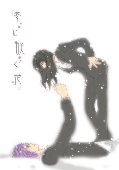 冬に咲く花
