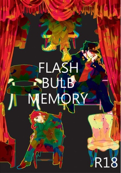 Flash Bulb Memory