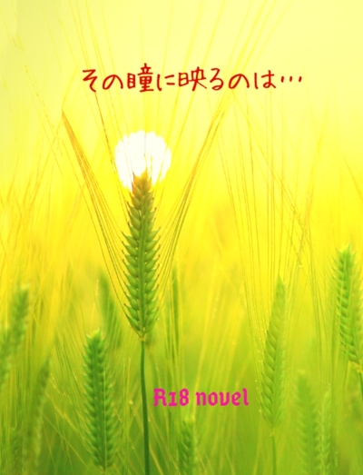 その瞳に映るのは…