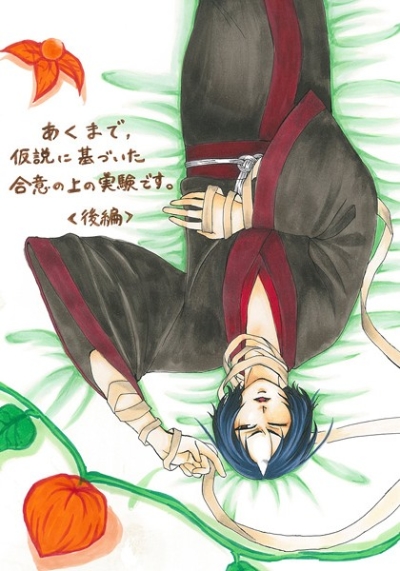 あくまで、仮説に基づいた合意の上の実験です。【後編】