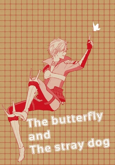 The butterfly and the stray dog