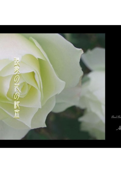 現象の花の秘密