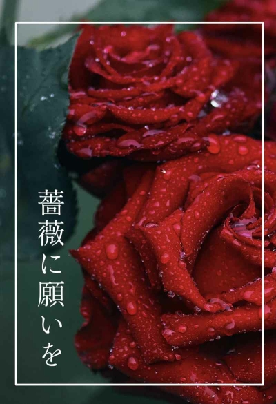 薔薇に願いを