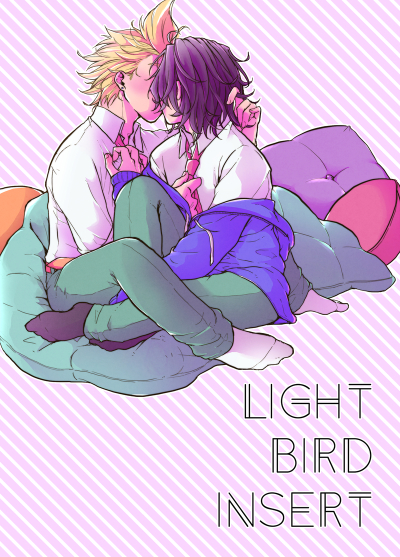 LIGHT BIRD INSERT