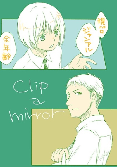 clip a mirror