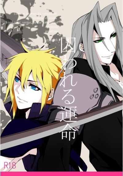 囚われる運命