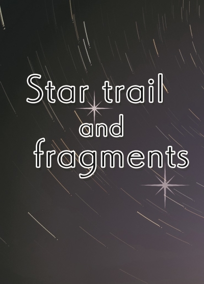 Star Trail And Fragments