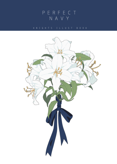Perfect Navy