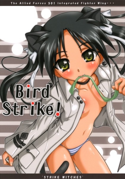 BIRD STRIKE!