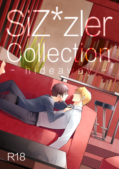 SiZ*zler Collection hideaway
