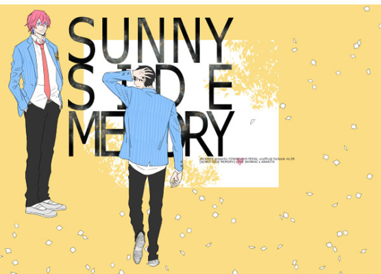 SUNNY SIDE MEMORY