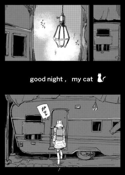 good night, my cat