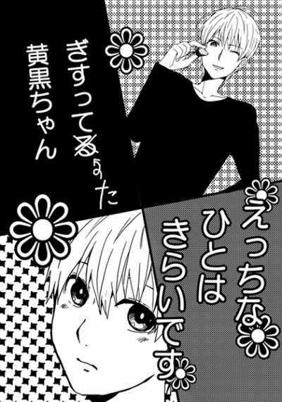 Etchinahitohakiraidesu