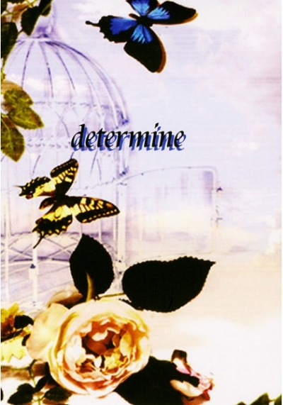 Determine