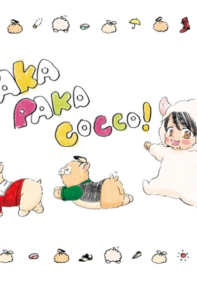 PAKA PAKA COCCO