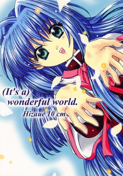 Its A Wonderful World