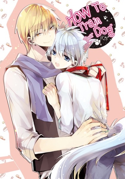 how to train your dog