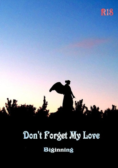 Don't Forget My Love ～Biginning～