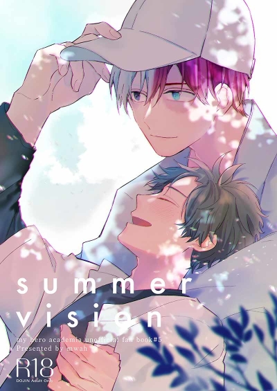 summer vision