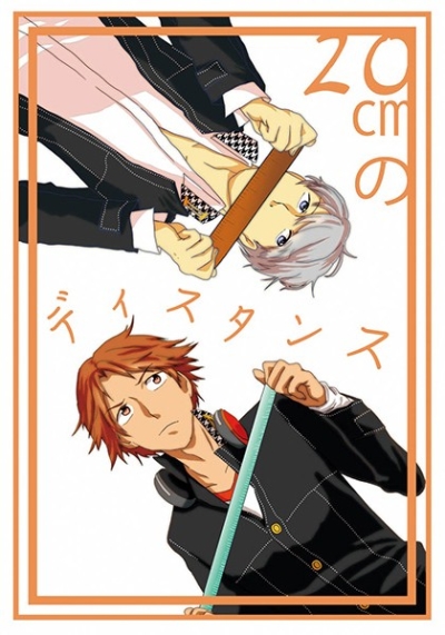 20cm No Disutansu