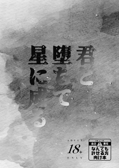 君と堕ちて星に成る