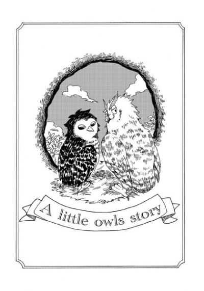 A Little Owls Story