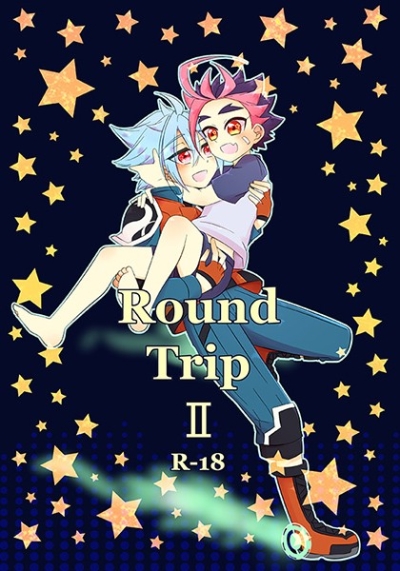 Round Trip2