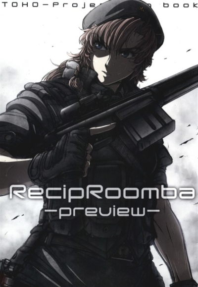 RecipRoomba Preview