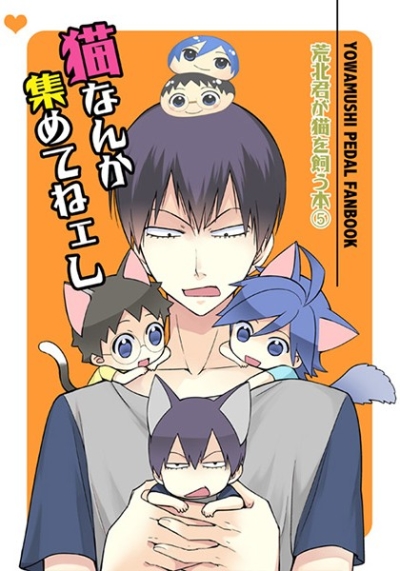 猫なんか集めてねェし
