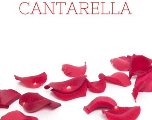 CANTARELLA