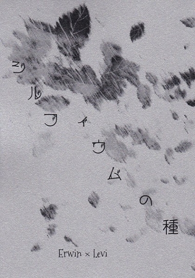 シルフィウムの種