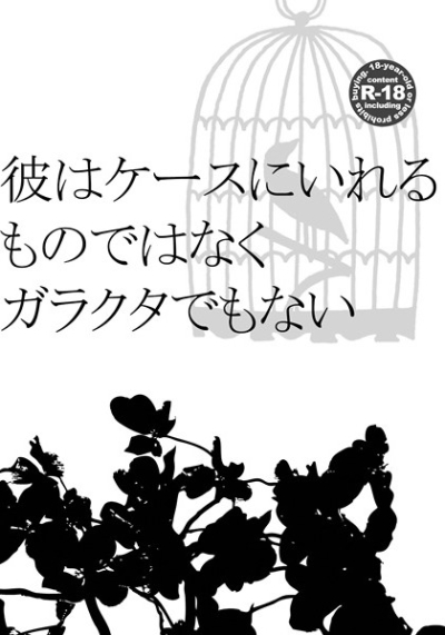 彼はケースに入れるものではなくガラクタでもない