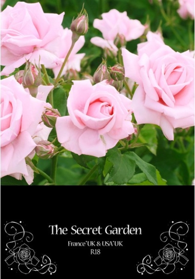 The secret garden