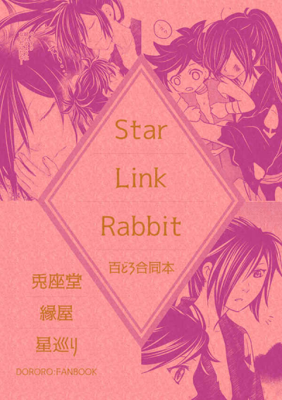 Star Link Rabbit
