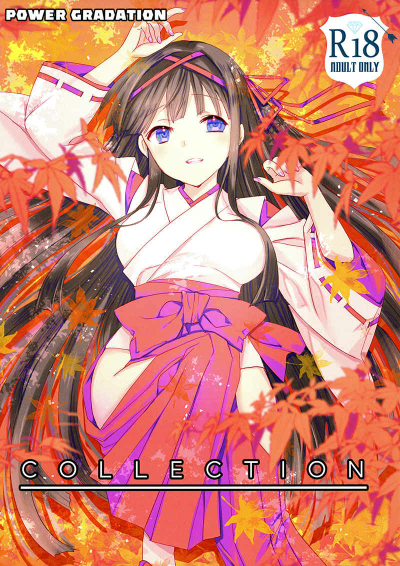 COLLECTIONセット
